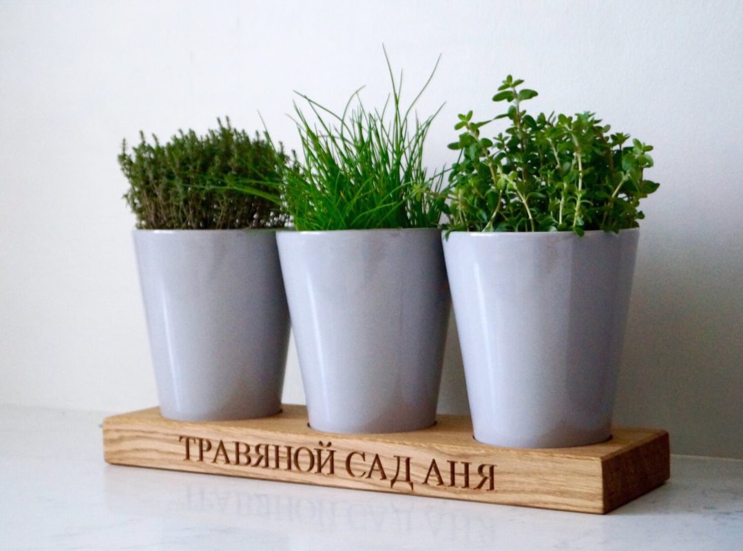 personalised-herb-pot-plant-holder-makemesomethingspecial.com